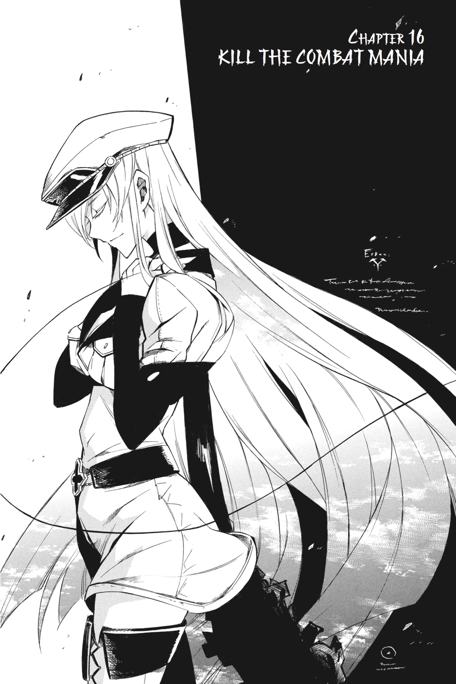 Read Akame Ga Kill! Manga Online