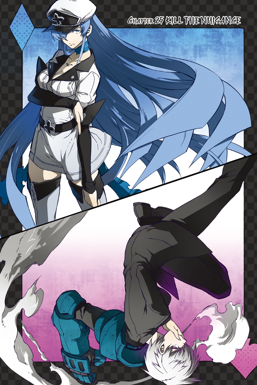Read Akame Ga Kill! Manga Online