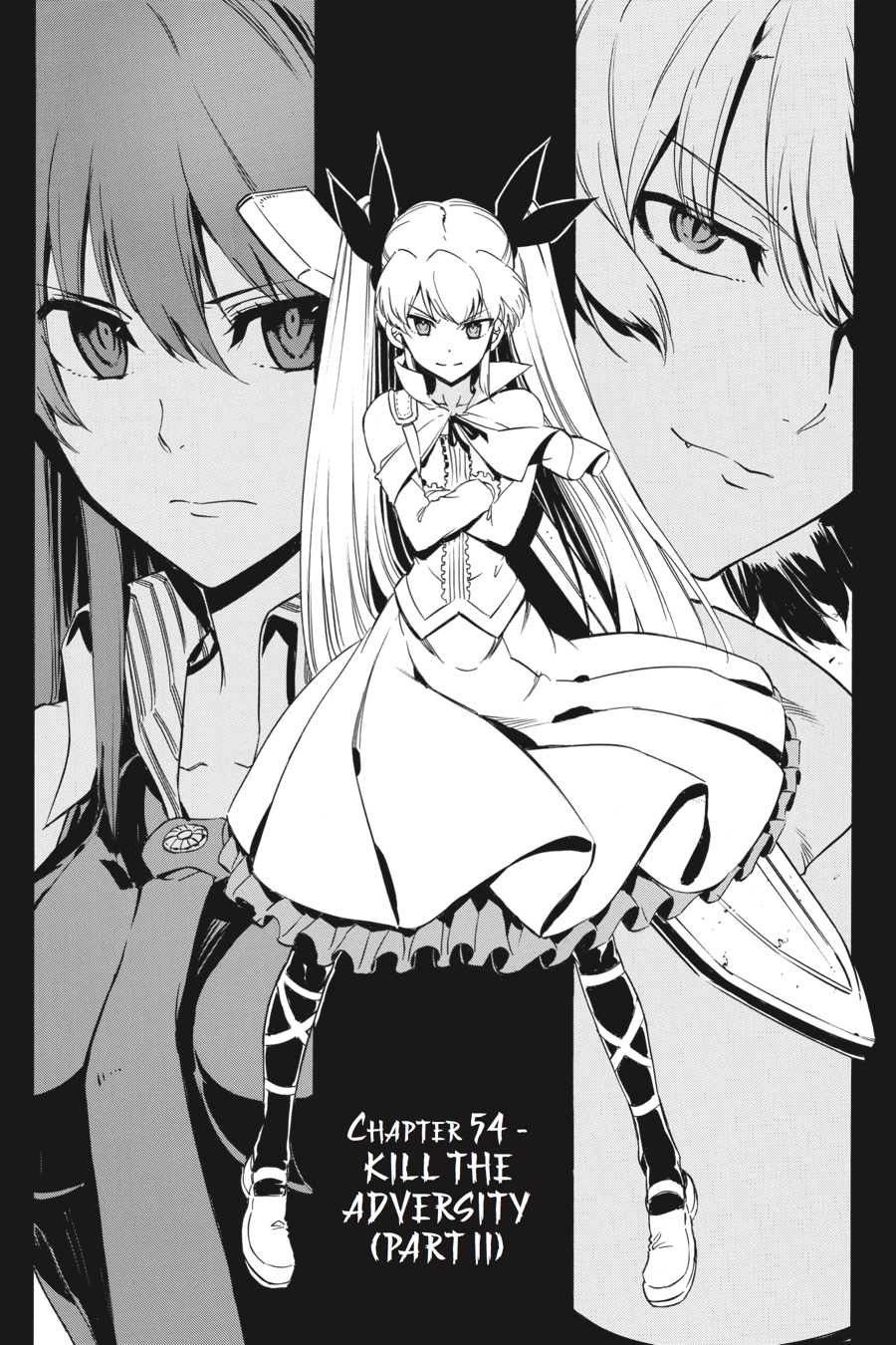Read Akame Ga Kill! Manga Online