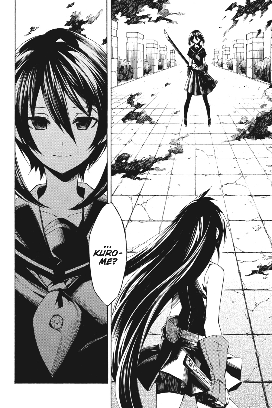 Read Akame Ga Kill! Manga Online