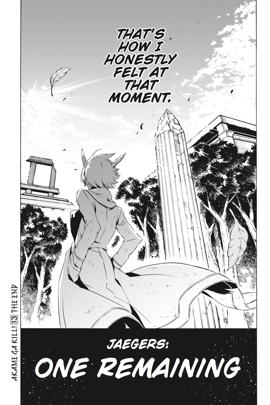 Read Akame Ga Kill! Manga Online
