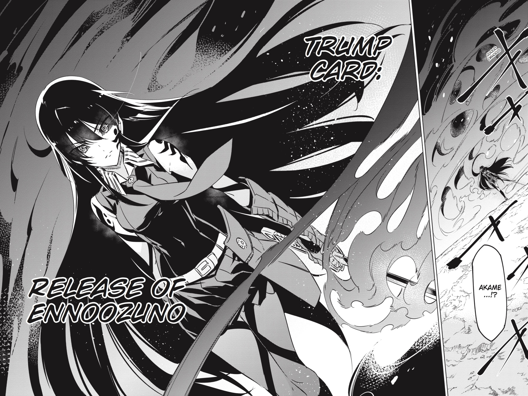Read Akame Ga Kill! Manga Online