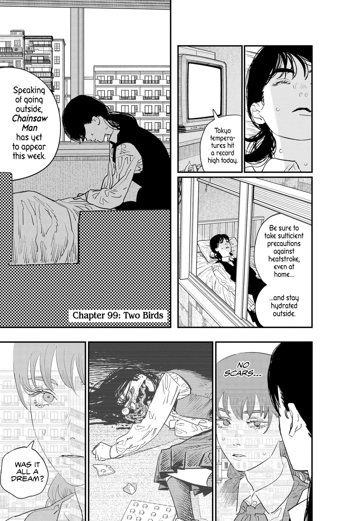 Read Chainsaw Man Manga Online