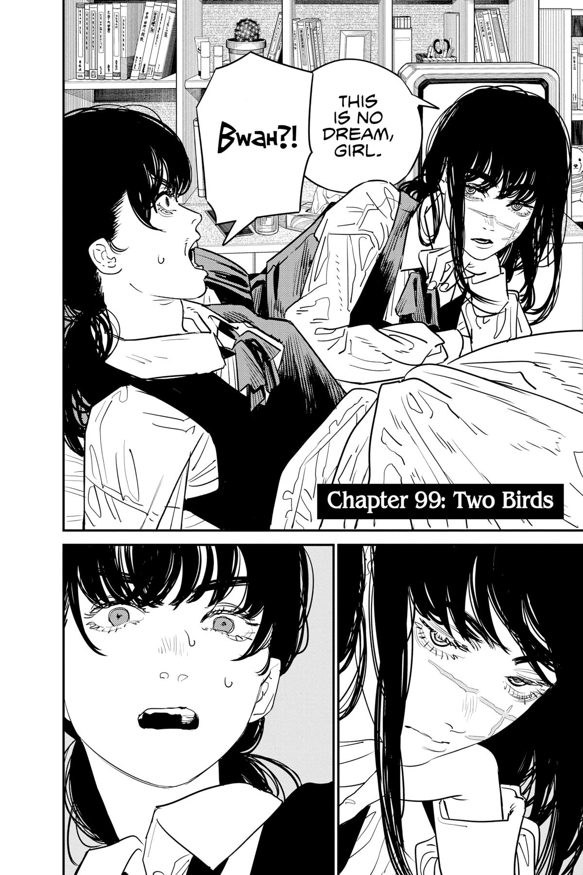 Read Chainsaw Man Manga Online
