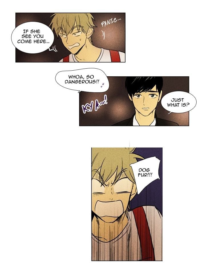 Read Cheese in the Trap Season 1 Manga Online