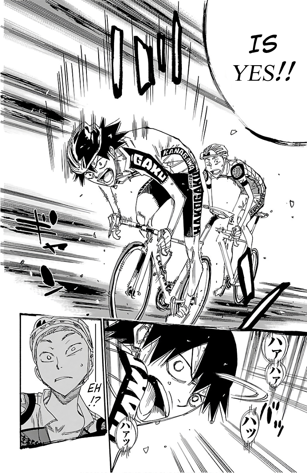 Read Yowamushi Pedal Manga Online