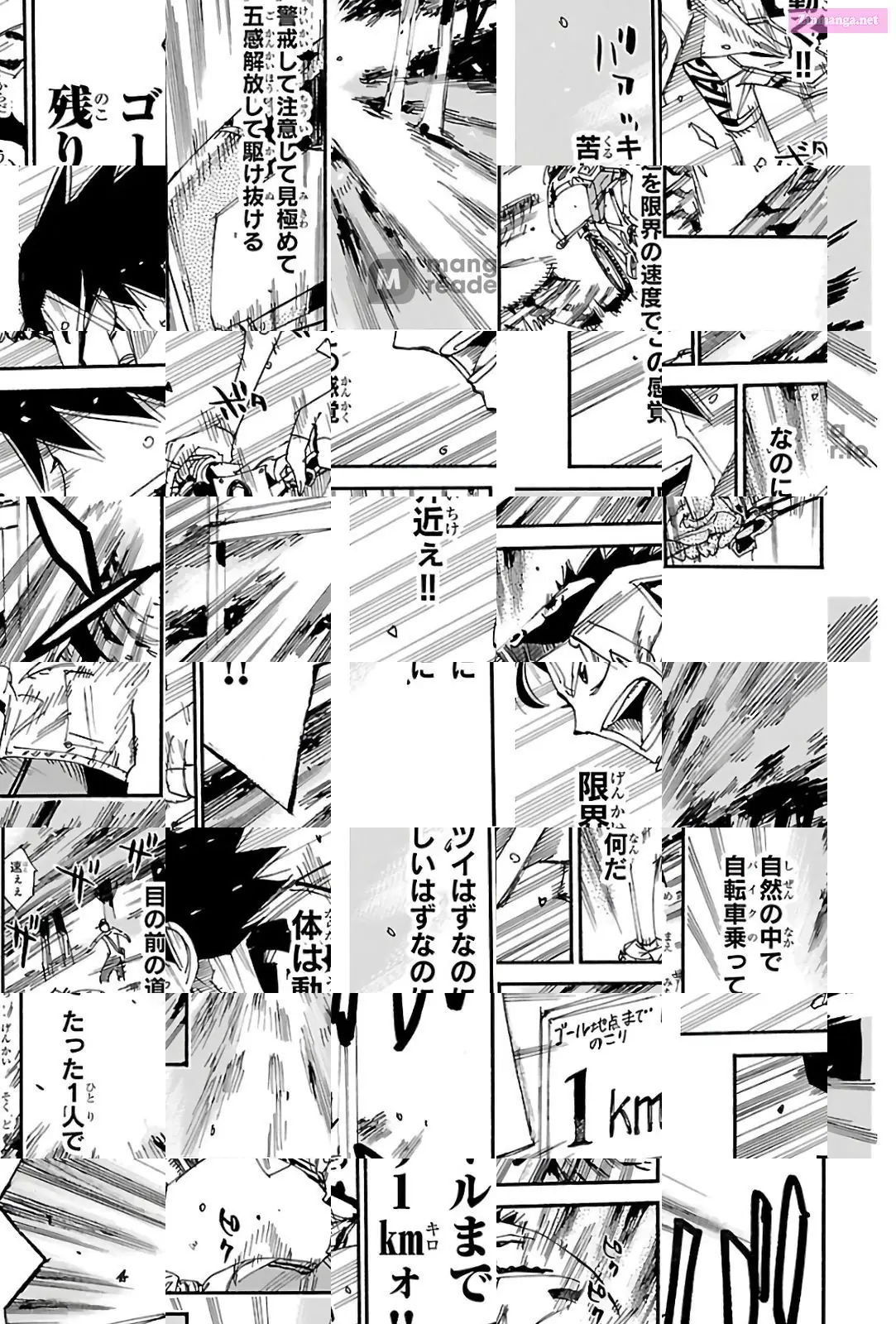 Read Yowamushi Pedal Manga Online