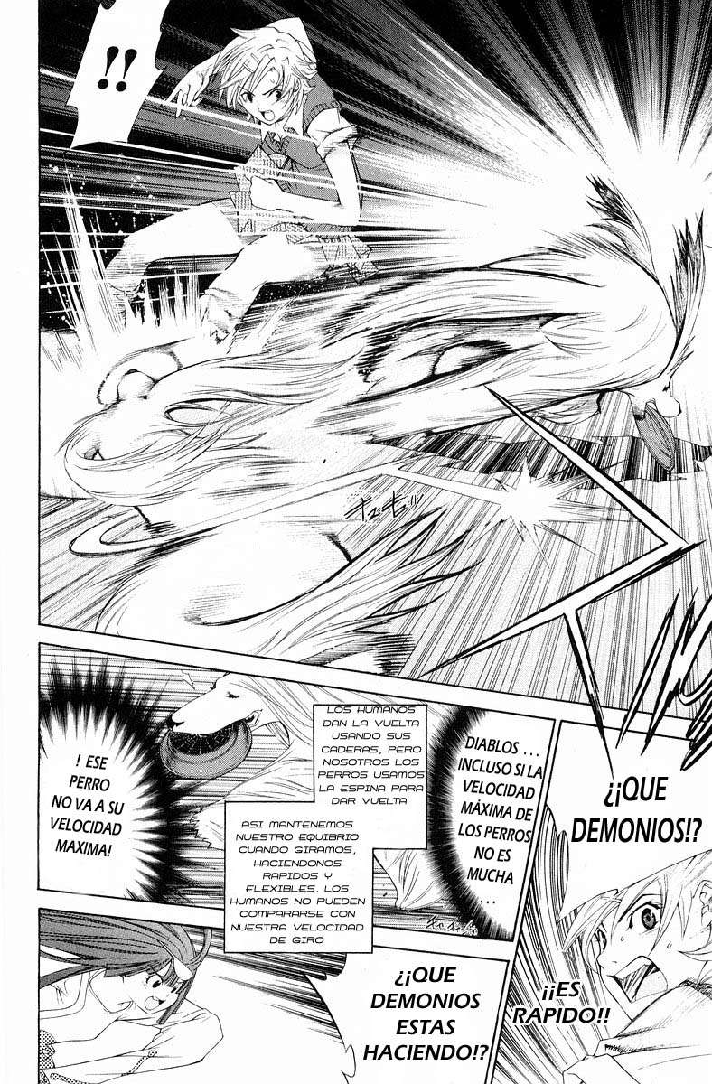 Read Air Gear Es Manga Online