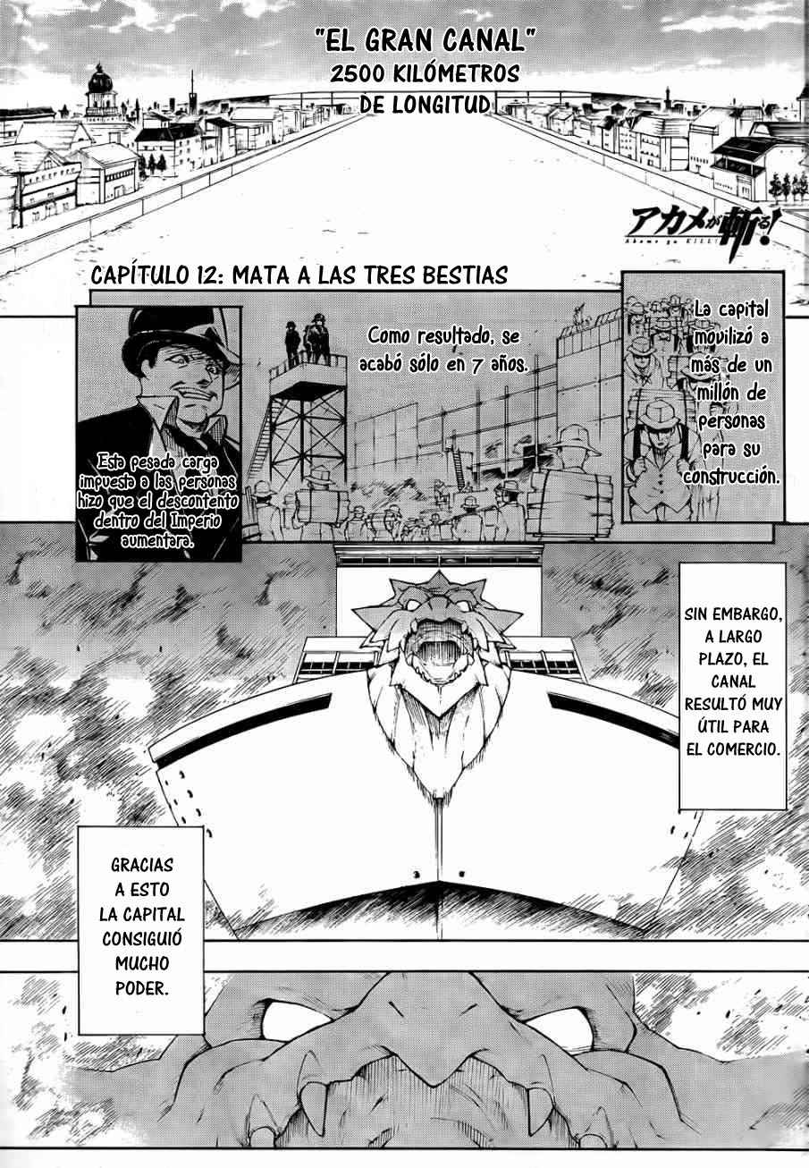 Read Akame Ga Kill! Es Manga Online