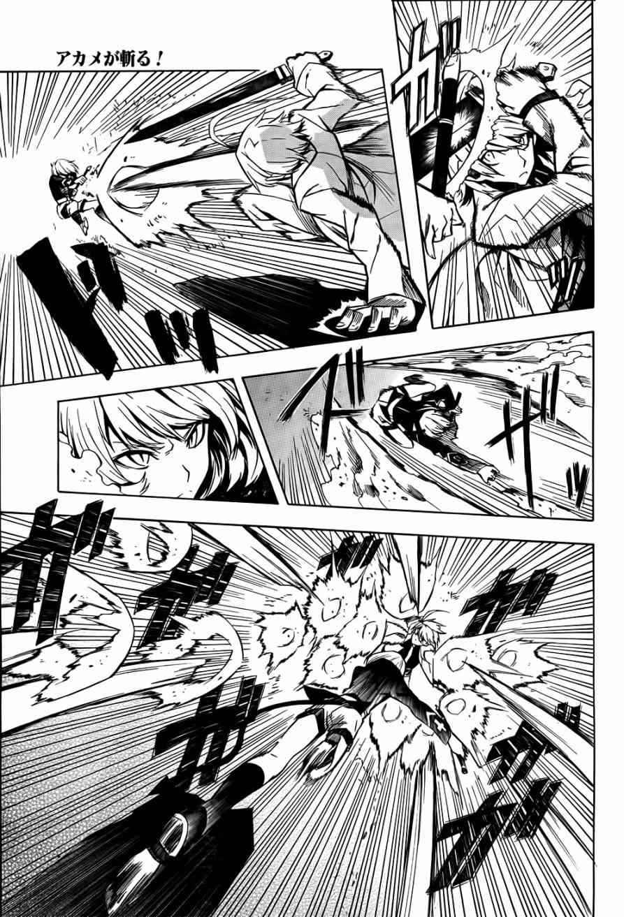 Read Akame Ga Kill! Es Manga Online