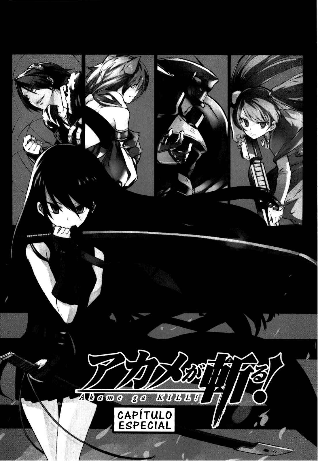 Read Akame Ga Kill! Es Manga Online