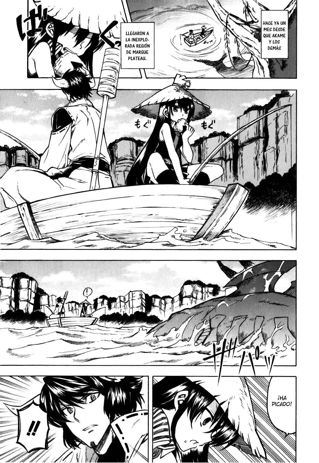 Read Akame Ga Kill! Es Manga Online