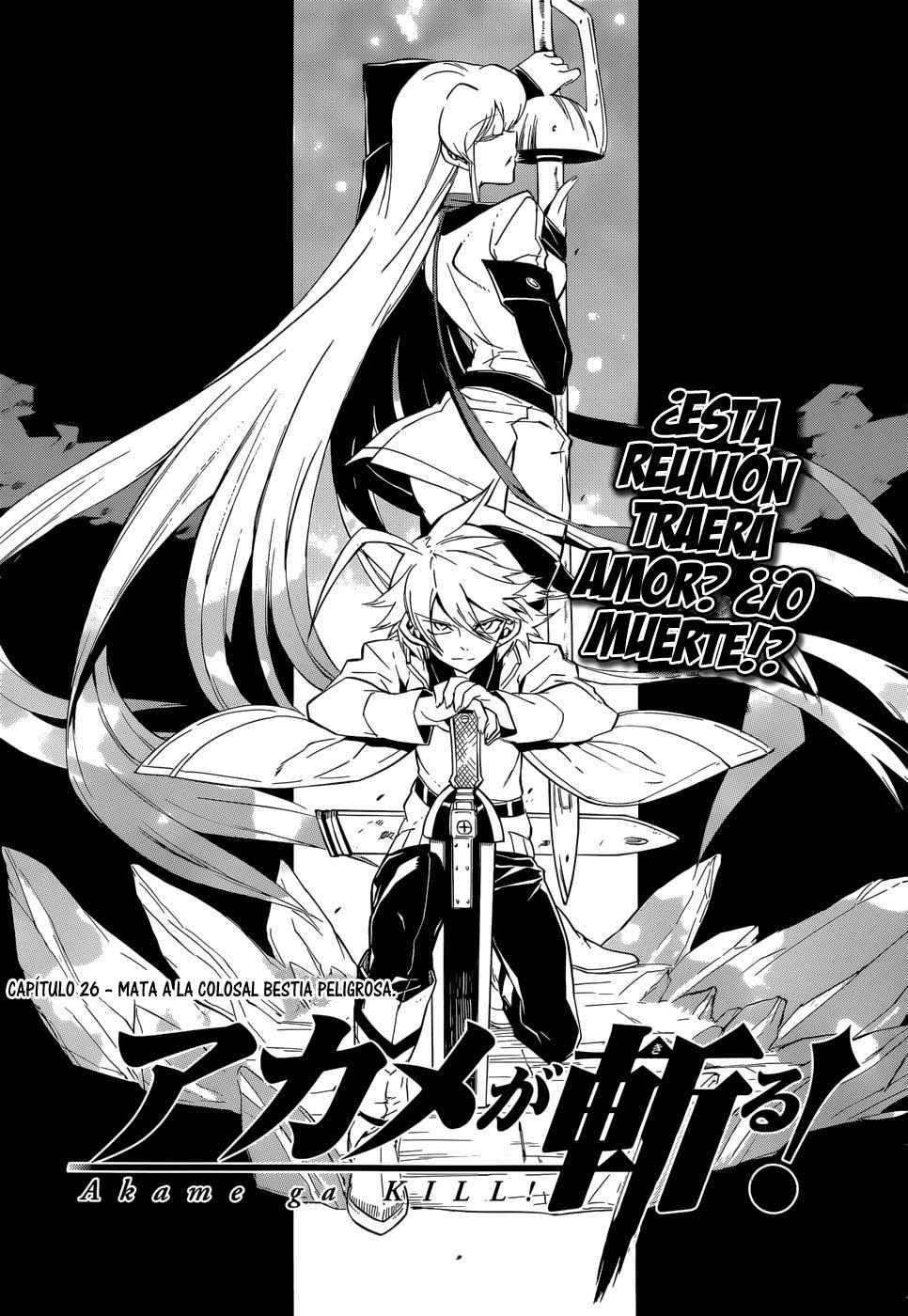 Read Akame Ga Kill! Es Manga Online