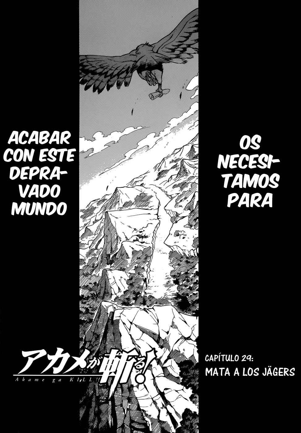 Read Akame Ga Kill! Es Manga Online