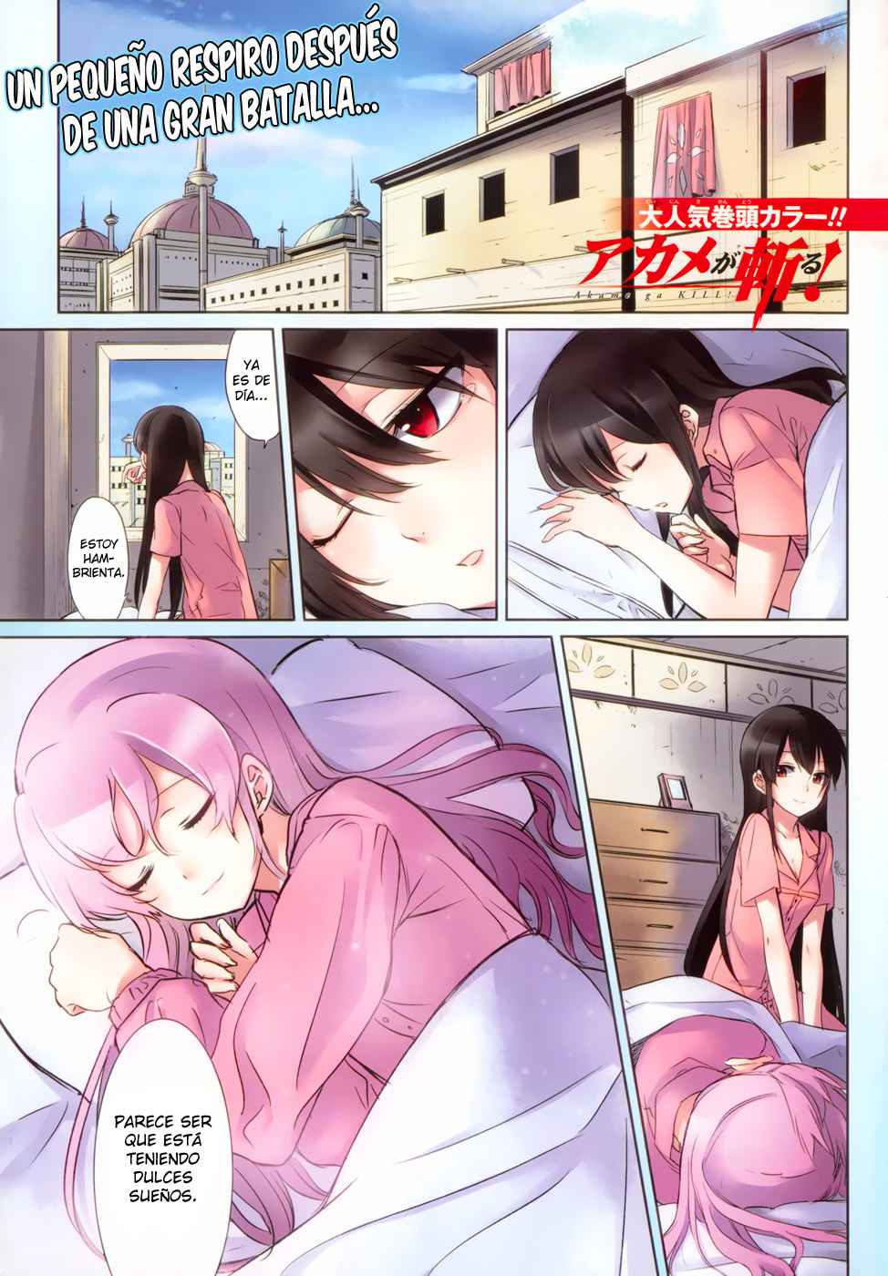 Read Akame Ga Kill! Es Manga Online