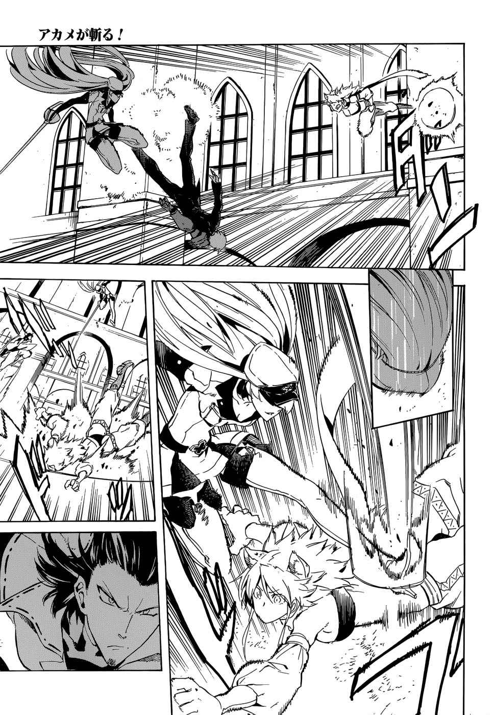 Read Akame Ga Kill! Es Manga Online