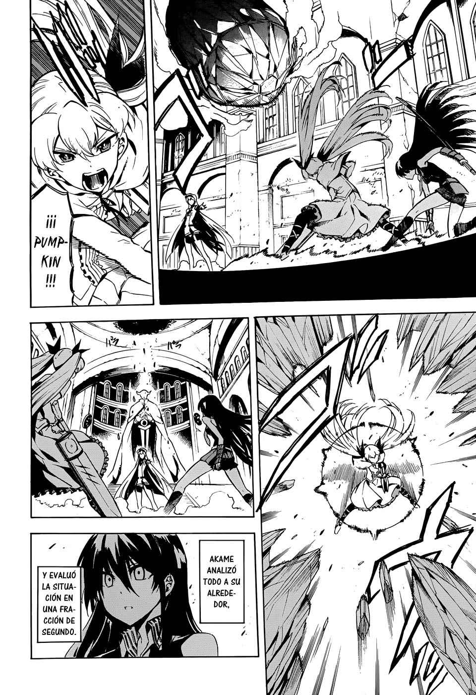 Read Akame Ga Kill! Es Manga Online