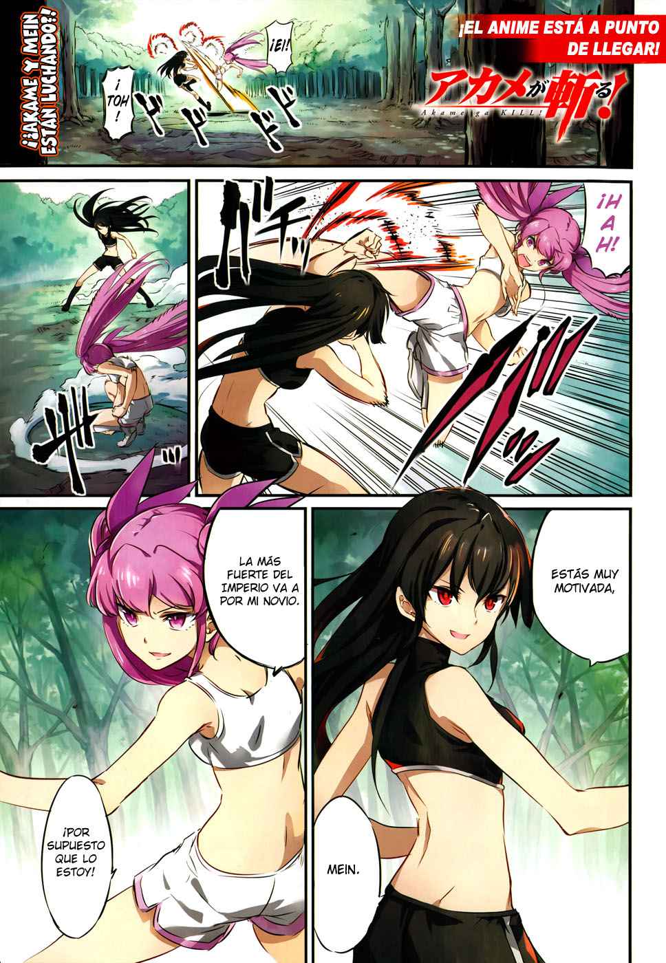 Read Akame Ga Kill! Es Manga Online