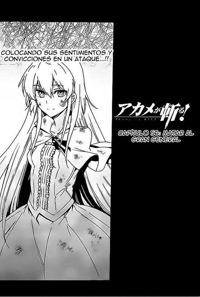 Read Akame Ga Kill! Es Manga Online