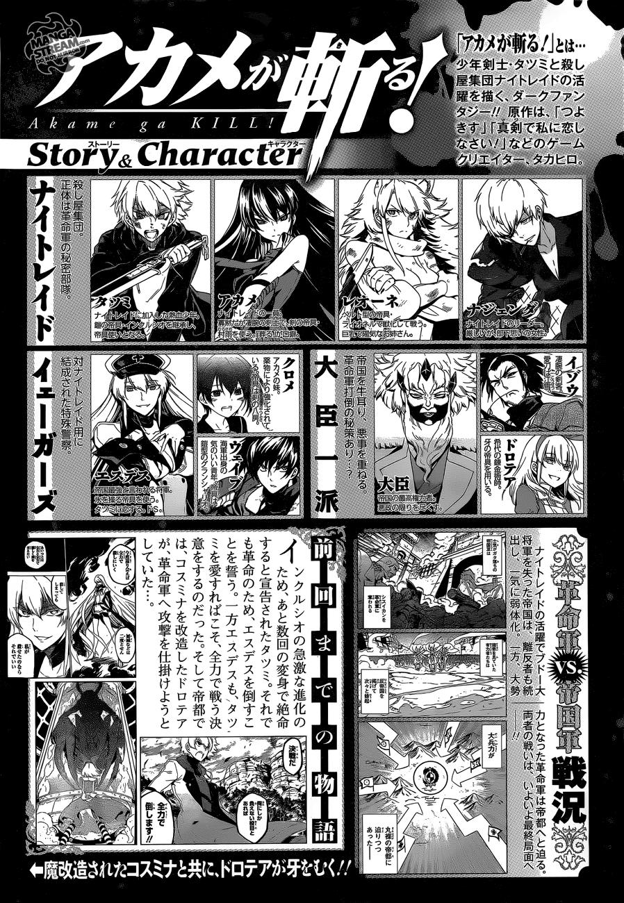 Read Akame Ga Kill! Es Manga Online