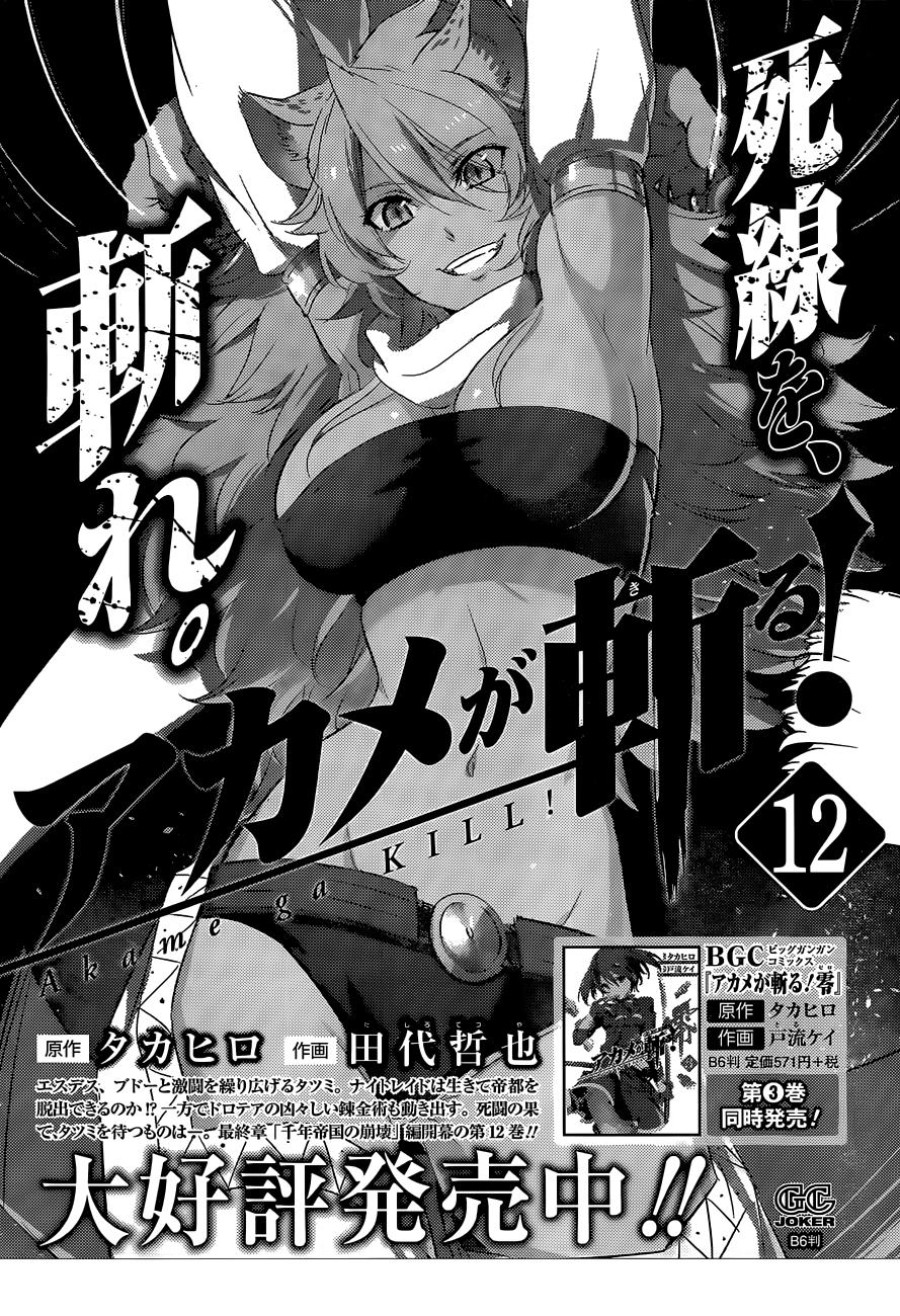 Read Akame Ga Kill! Es Manga Online