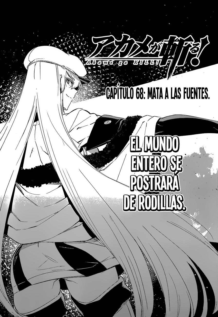 Read Akame Ga Kill! Es Manga Online