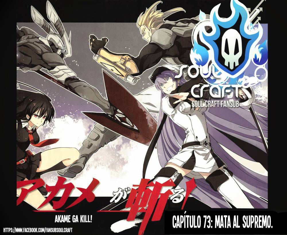 Read Akame Ga Kill! Es Manga Online