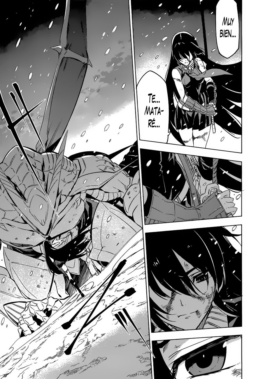 Read Akame Ga Kill! Es Manga Online