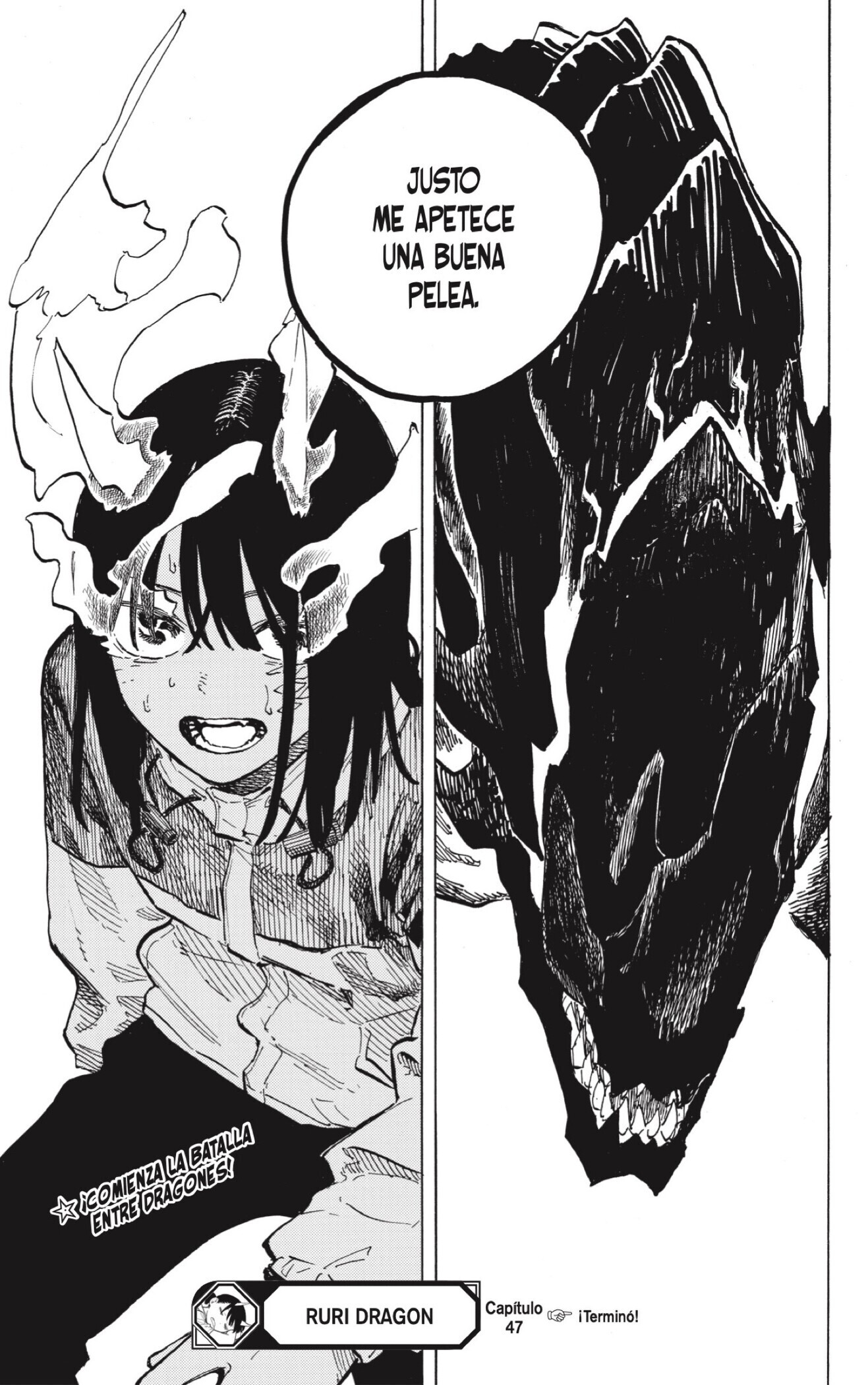 Read Ruri Dragon Es Manga Online