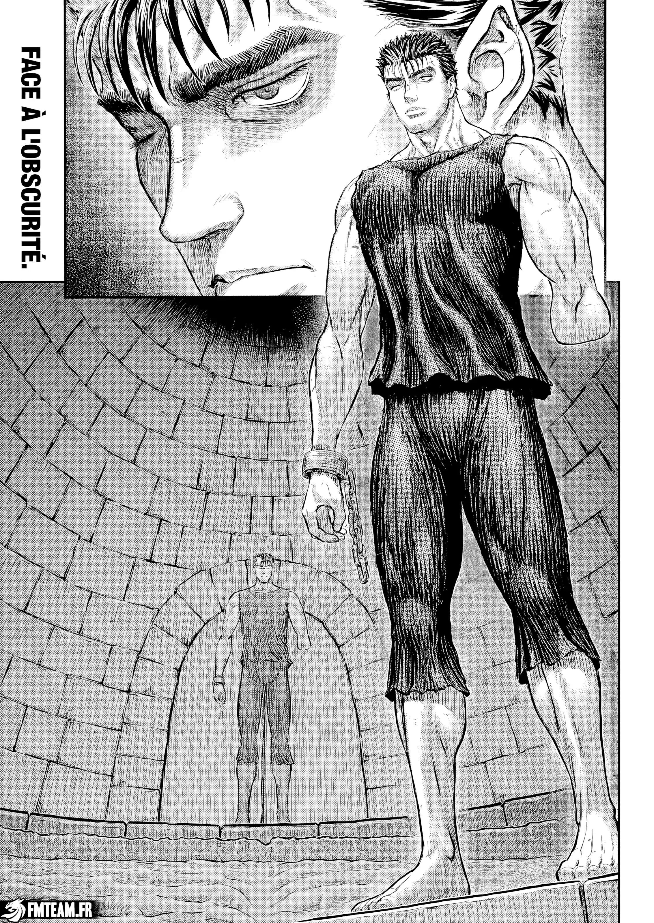 Read Berserk FR Manga Online