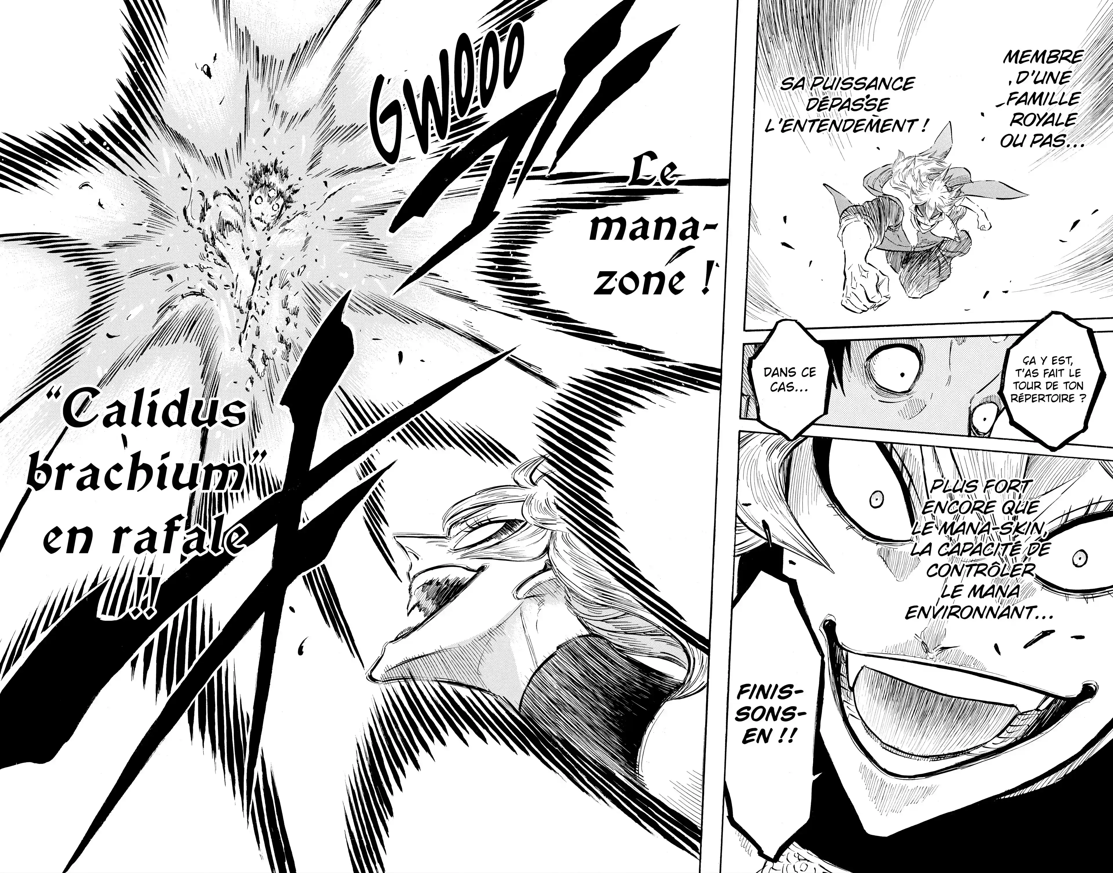 Read Black Clover FR Manga Online