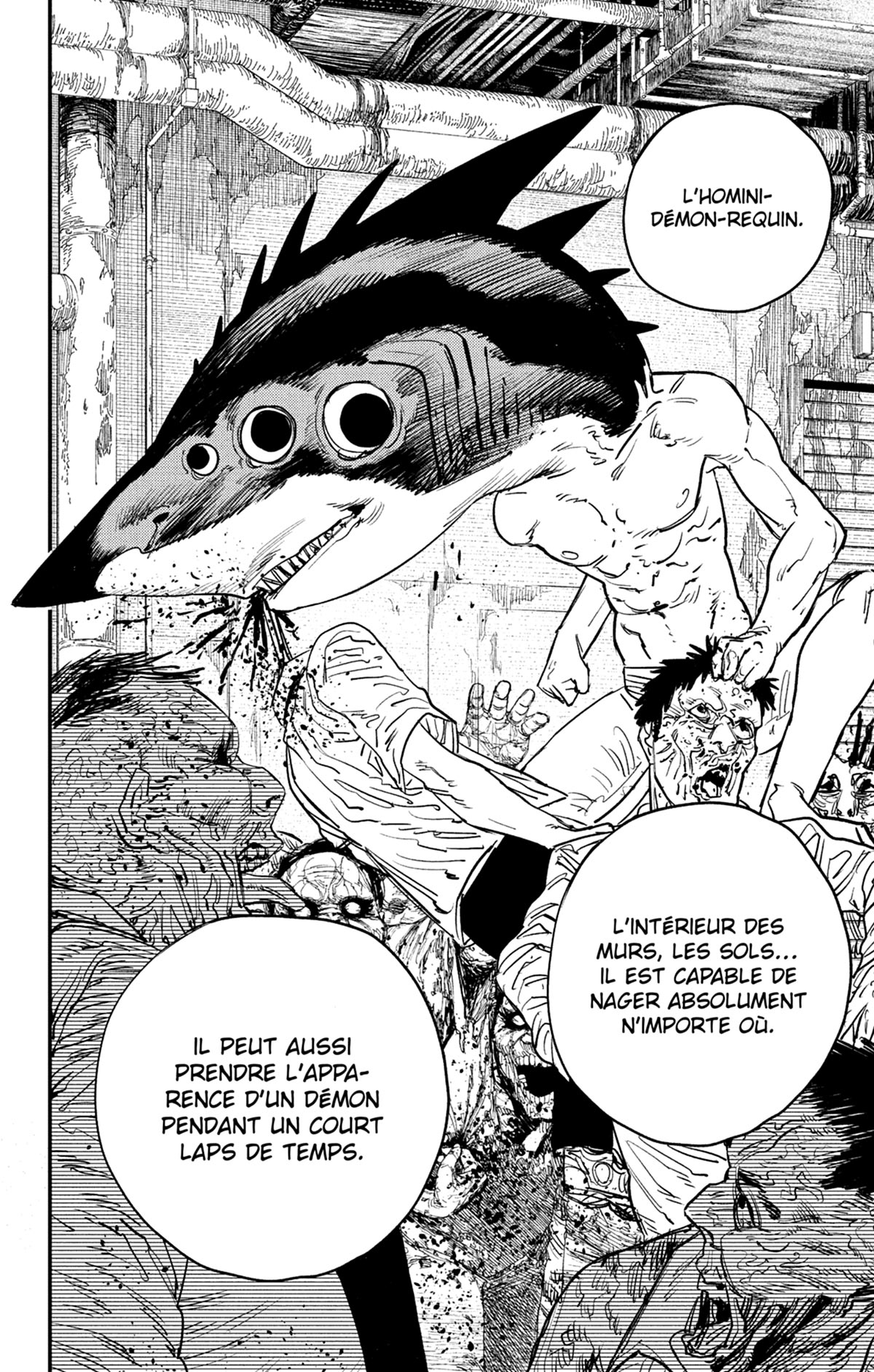 Read Chainsaw Man FR Manga Online