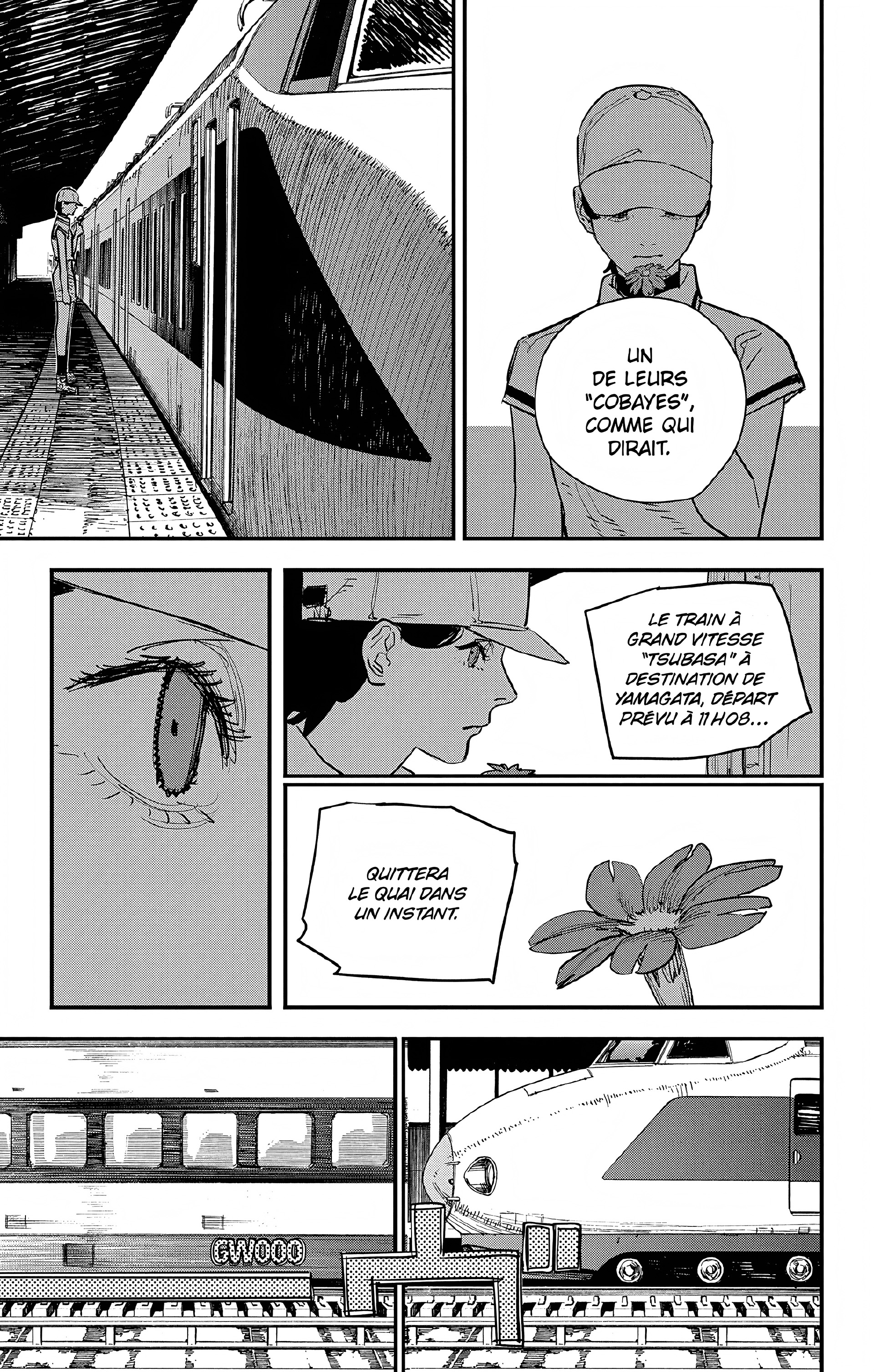 Read Chainsaw Man FR Manga Online
