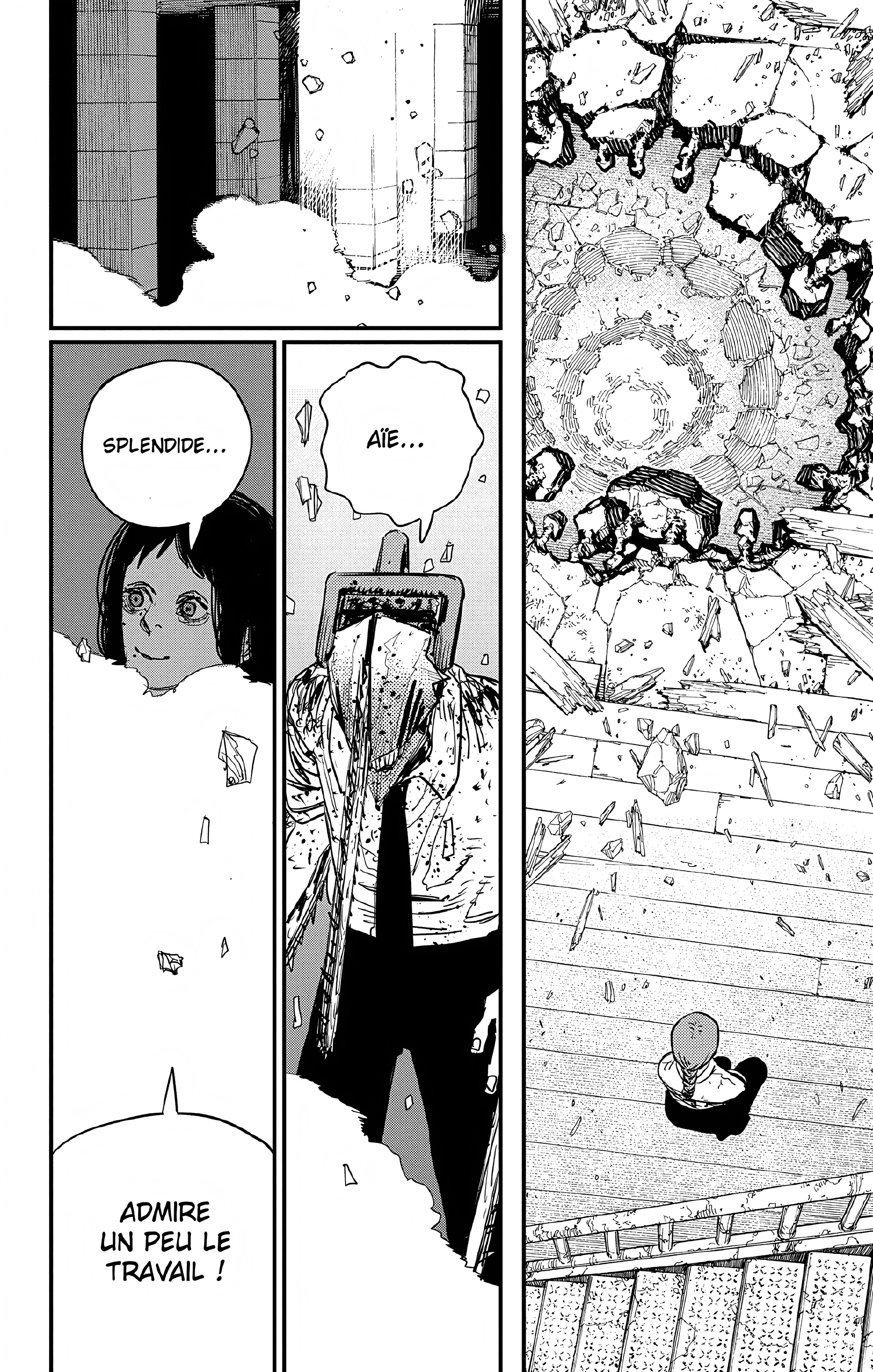Read Chainsaw Man FR Manga Online